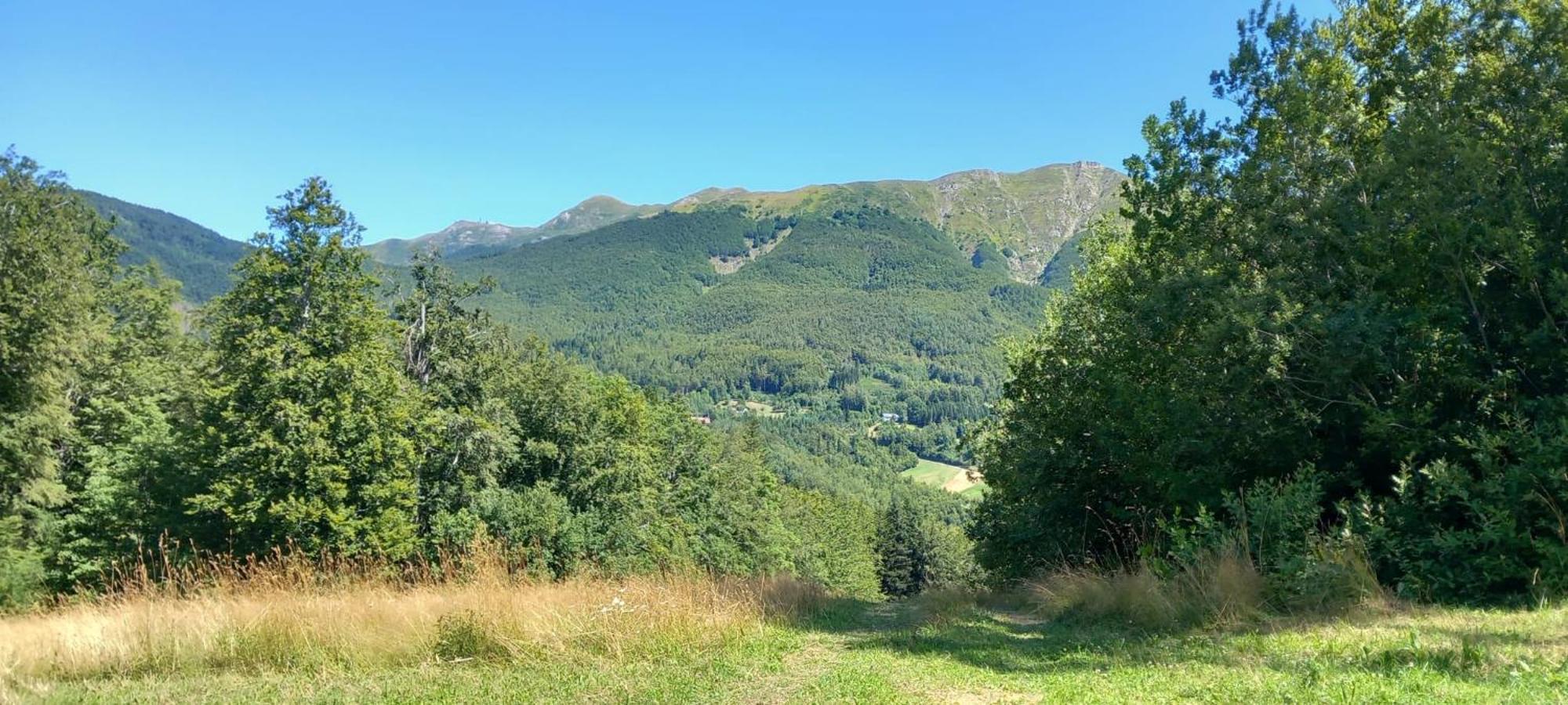 Monolocale Il Capriolo - Abetone Apartman Kültér fotó