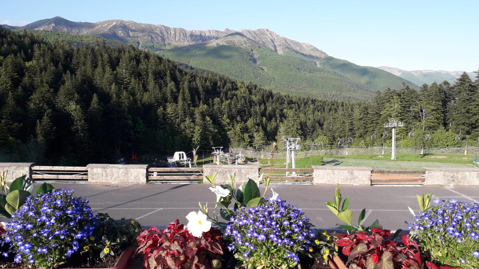 Monolocale Il Capriolo - Abetone Apartman Kültér fotó